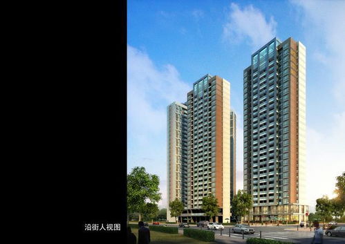 梅州某房地產開發(fā)商品房設計作品