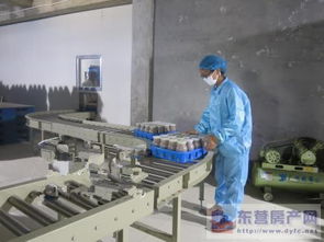 東營市產(chǎn)業(yè)雙輪驅(qū)動(dòng) 食用菌產(chǎn)業(yè)發(fā)展與房地產(chǎn)開發(fā)的協(xié)同并進(jìn)