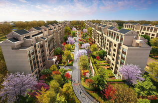 上海首創禧悅·晴朗 全景解析配套實景、樣板間與戶型設計